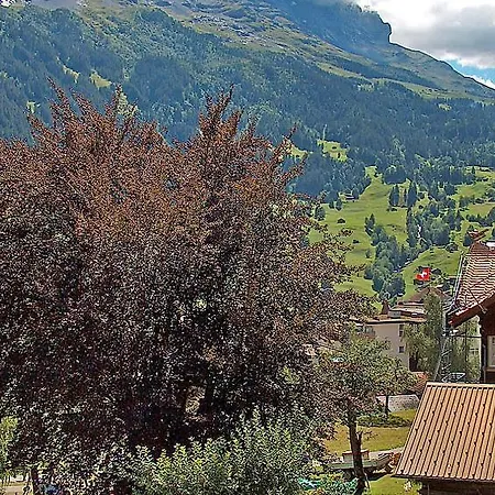 Sleeps 9 Wifi Tatil Evi